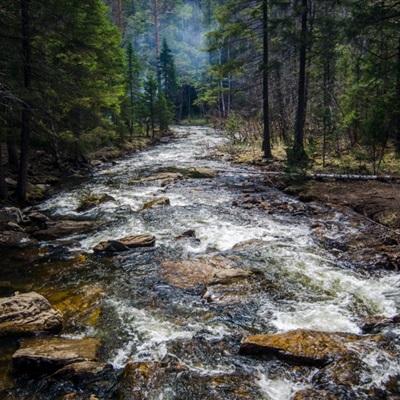 香港资料大全下载手机版